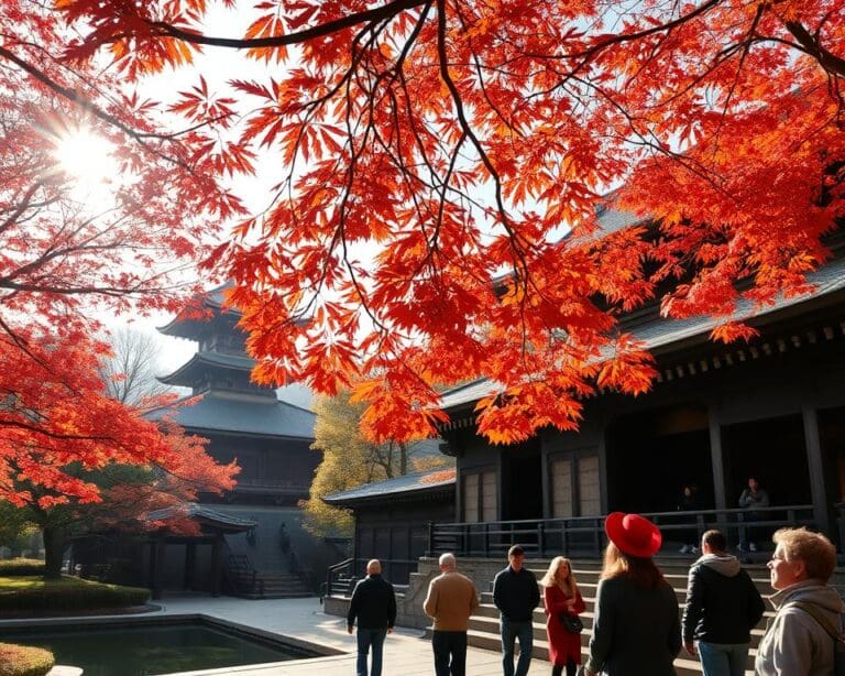 Bewonder de tempels van Kyoto in het najaar